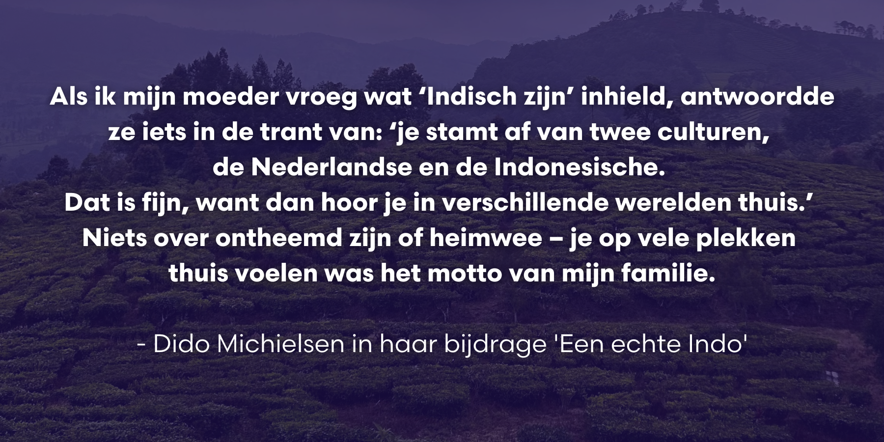 In de toko probeer ik niet op te vallen te doen alsof ik hier thuishoor alsof ik weet of en hoe ik hallo moet zeggen alsof ik bekenden tegen het lijf kan lopen alsof dat toevallig of juist vanz 7