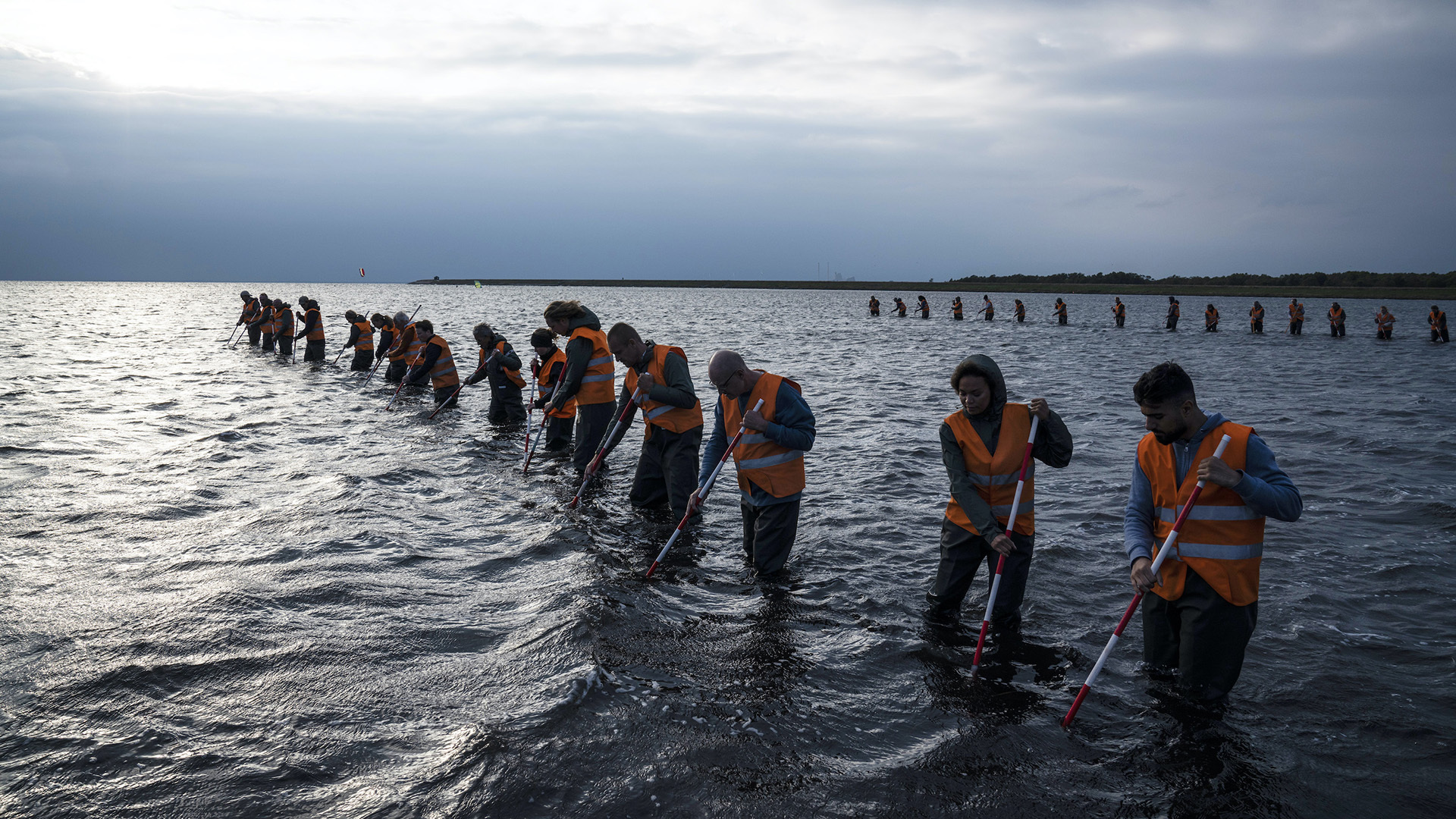 1051 reviews The Investigation 1619423101