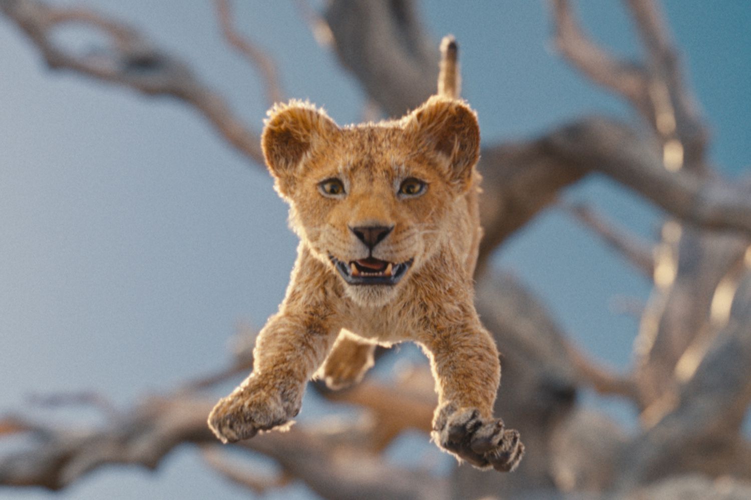 10536 reviews mufasa the lion king 1 1714410588