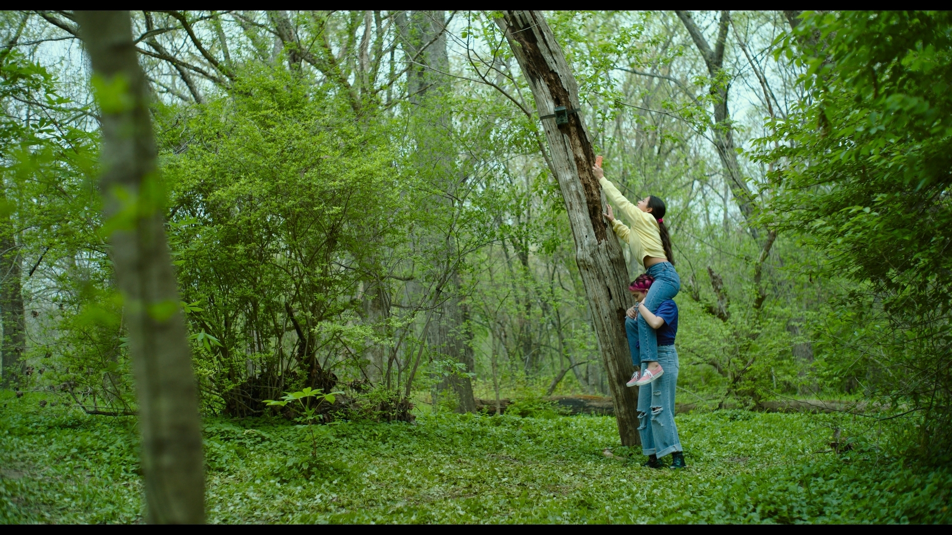 10668 reviews 661fc258af2a7 1714645550