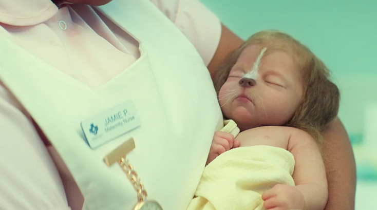 1174 reviews Schermafbeelding 2021 06 14 om 11 36 36 1623674502