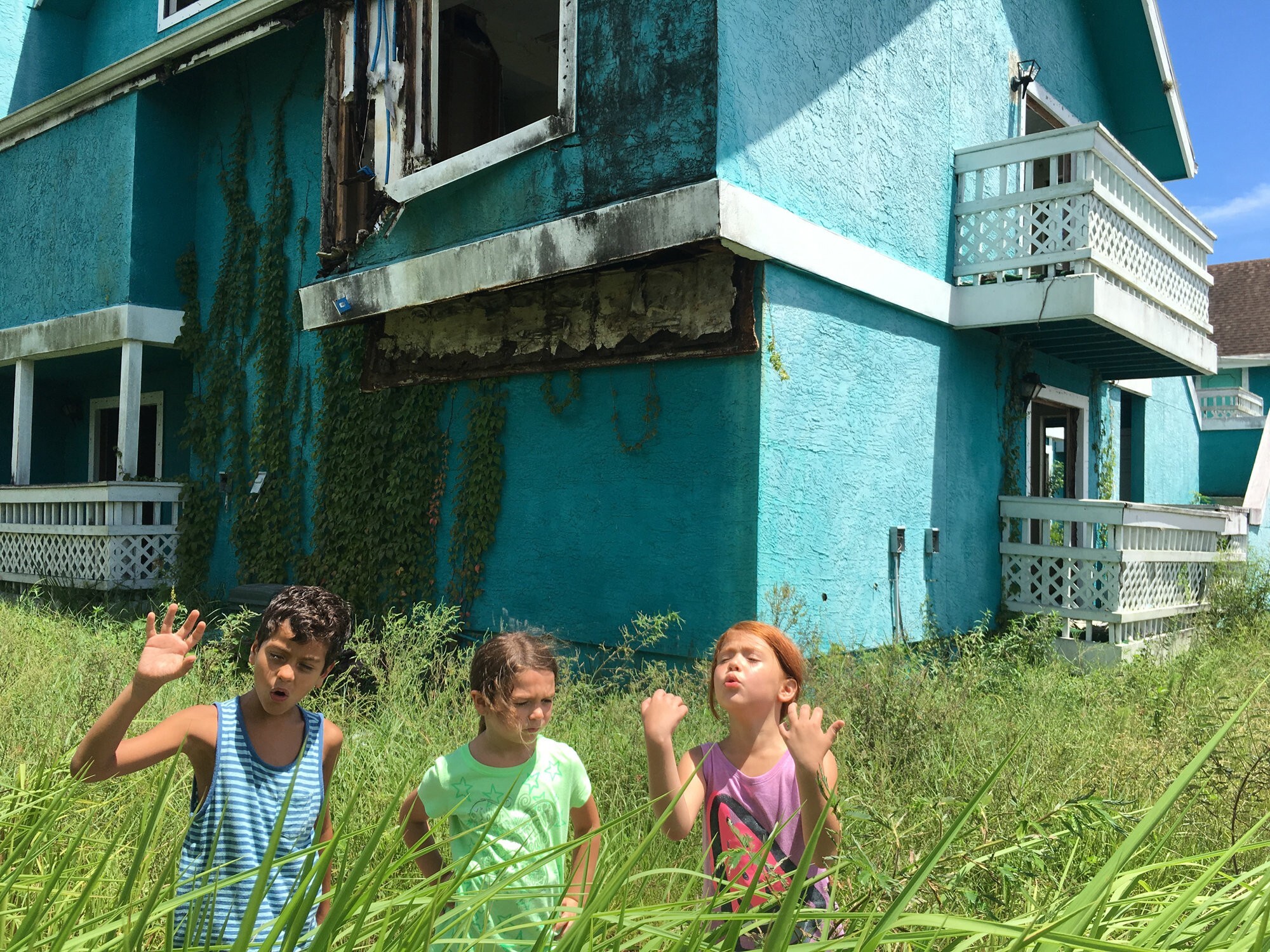 1208 reviews the florida project 5 1629372222