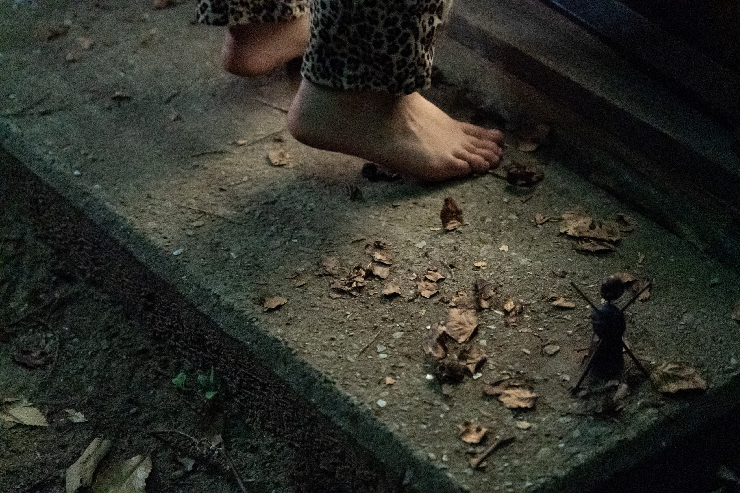 1225 reviews Chestnut 1632477962