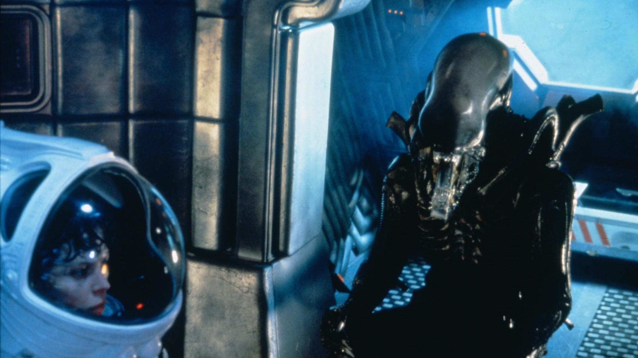 12681 reviews alienn 1723744592