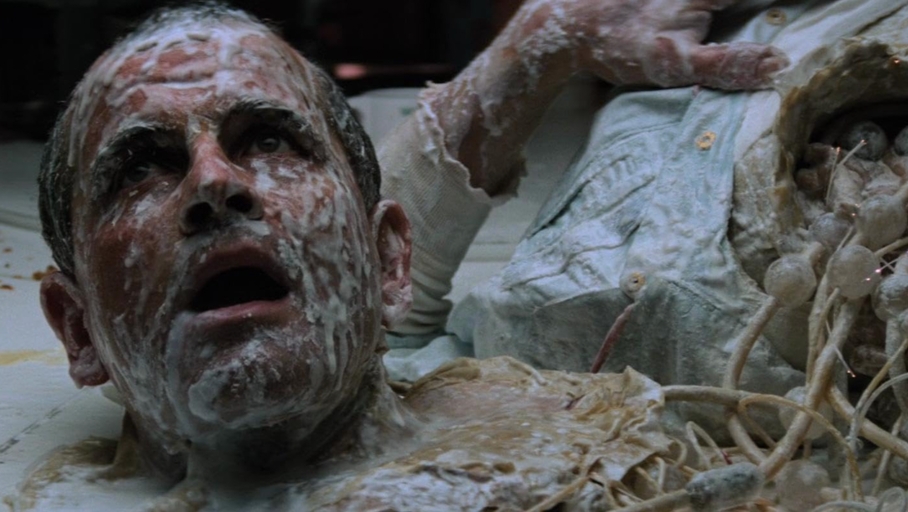 12681 reviews alienstill4 1723742846