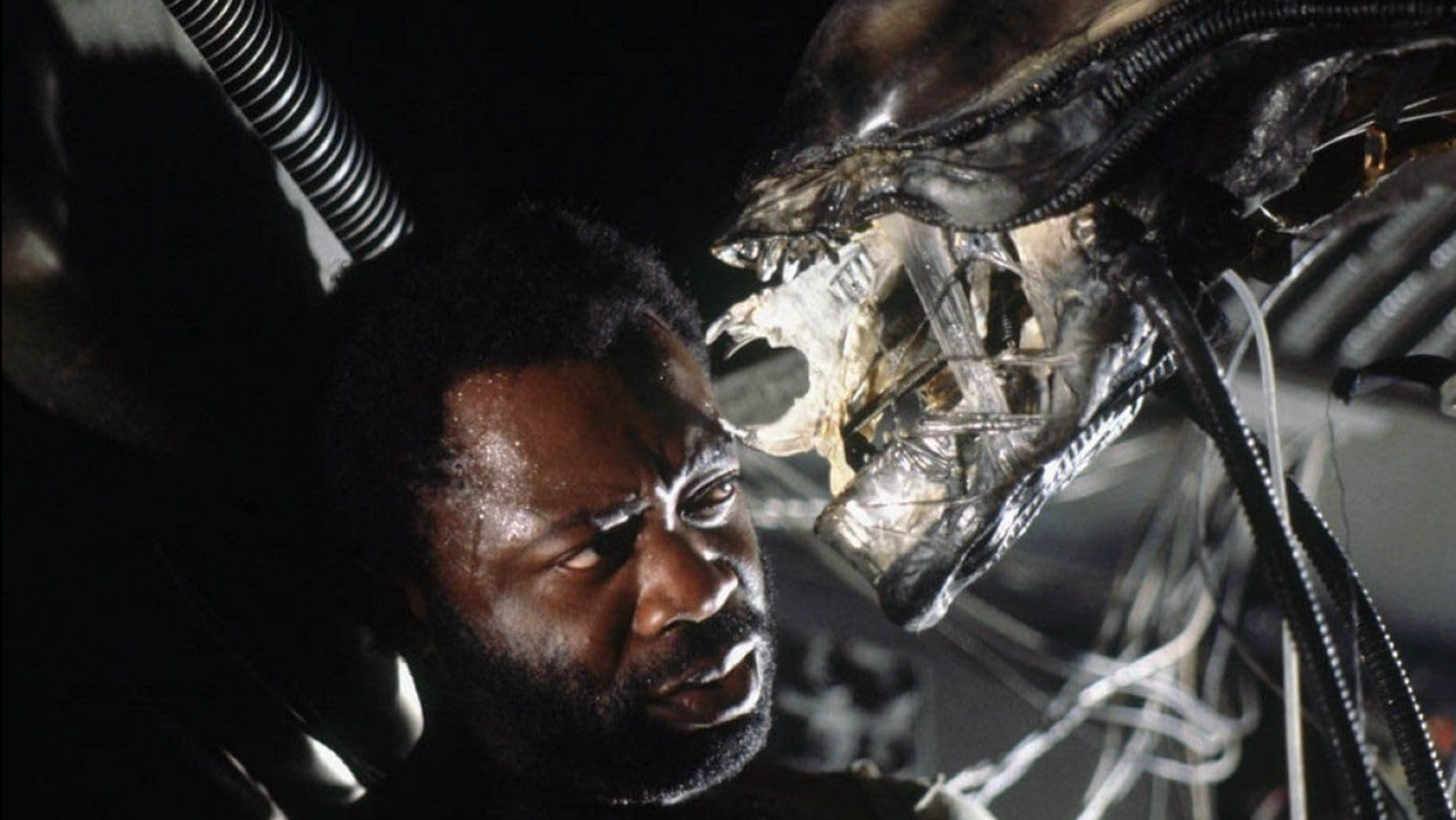 12681 reviews alienstill6 1723743303