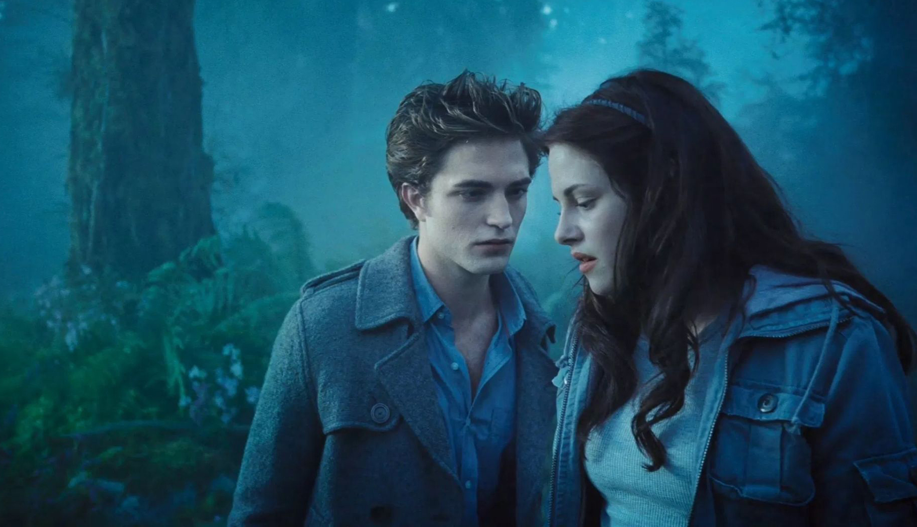 1317 reviews twilight 2 1646320121