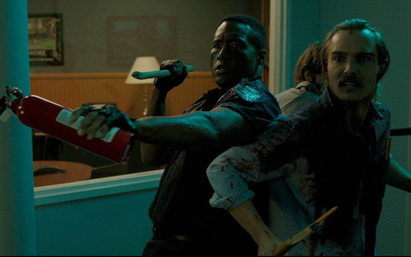 13671 reviews bsb 1727817658