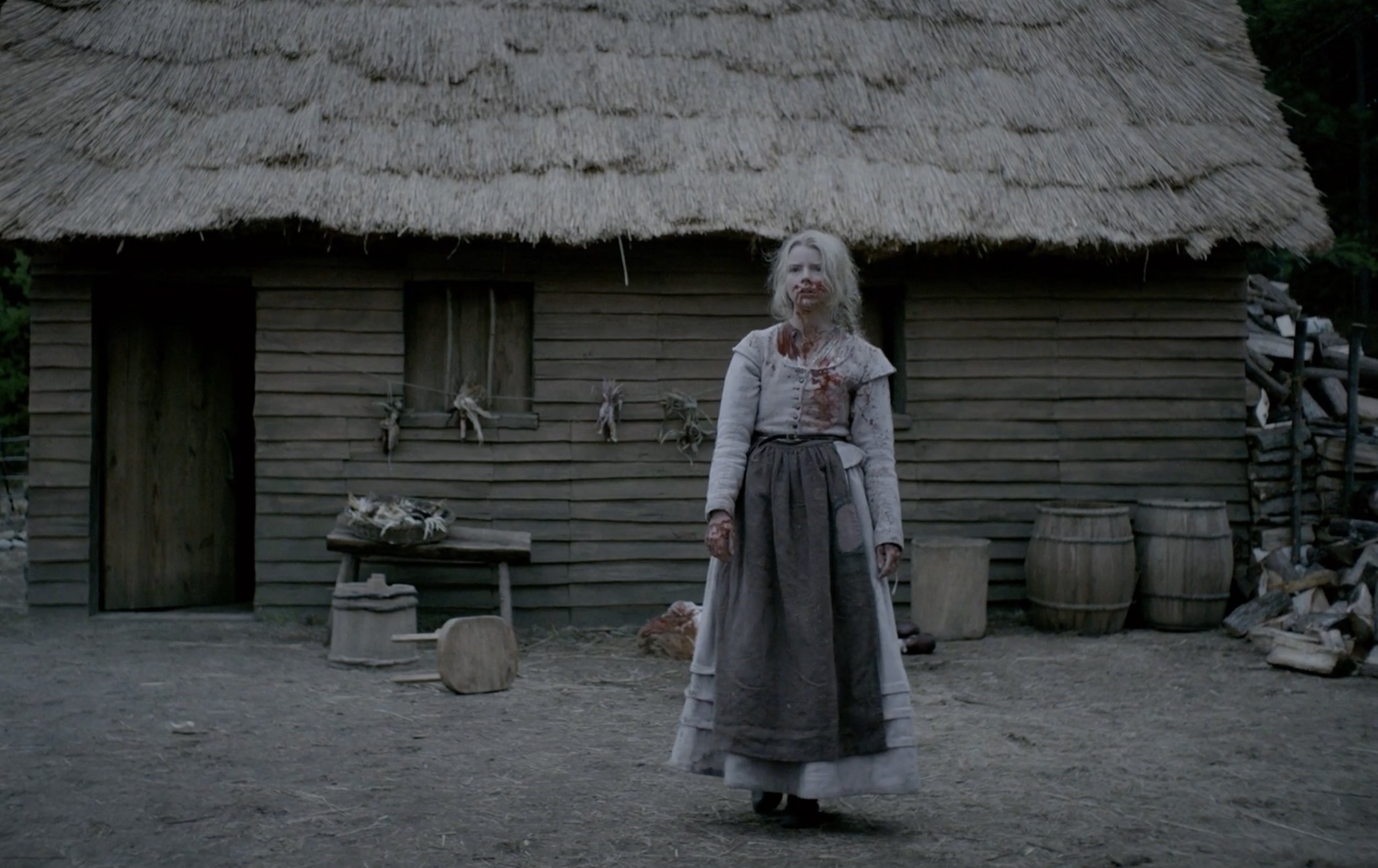 13737 reviews the vvitch the witch 1728309503