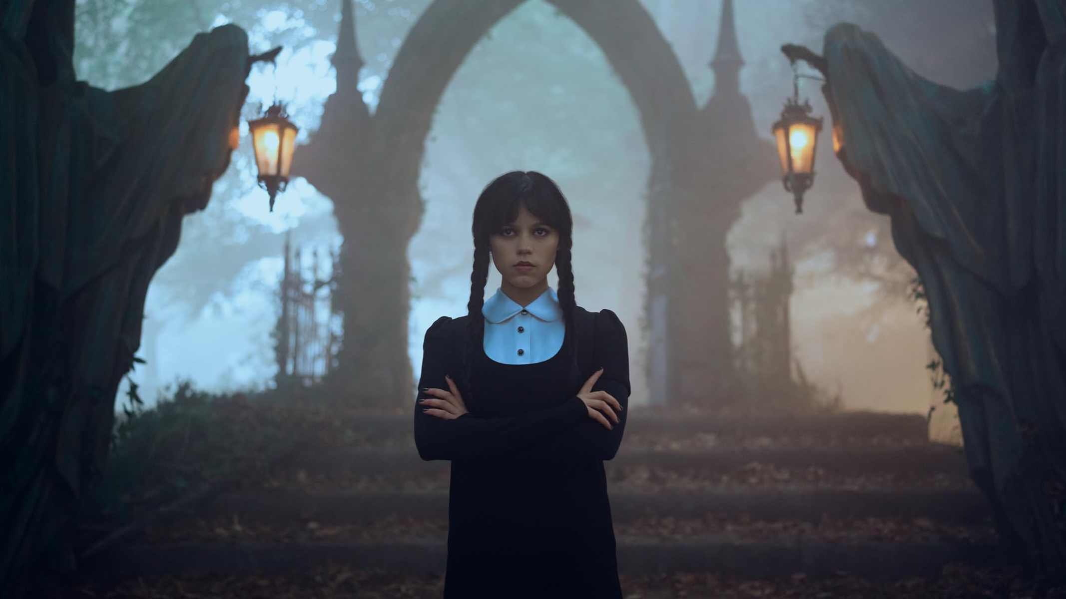 15354 reviews wednesday 1734867742