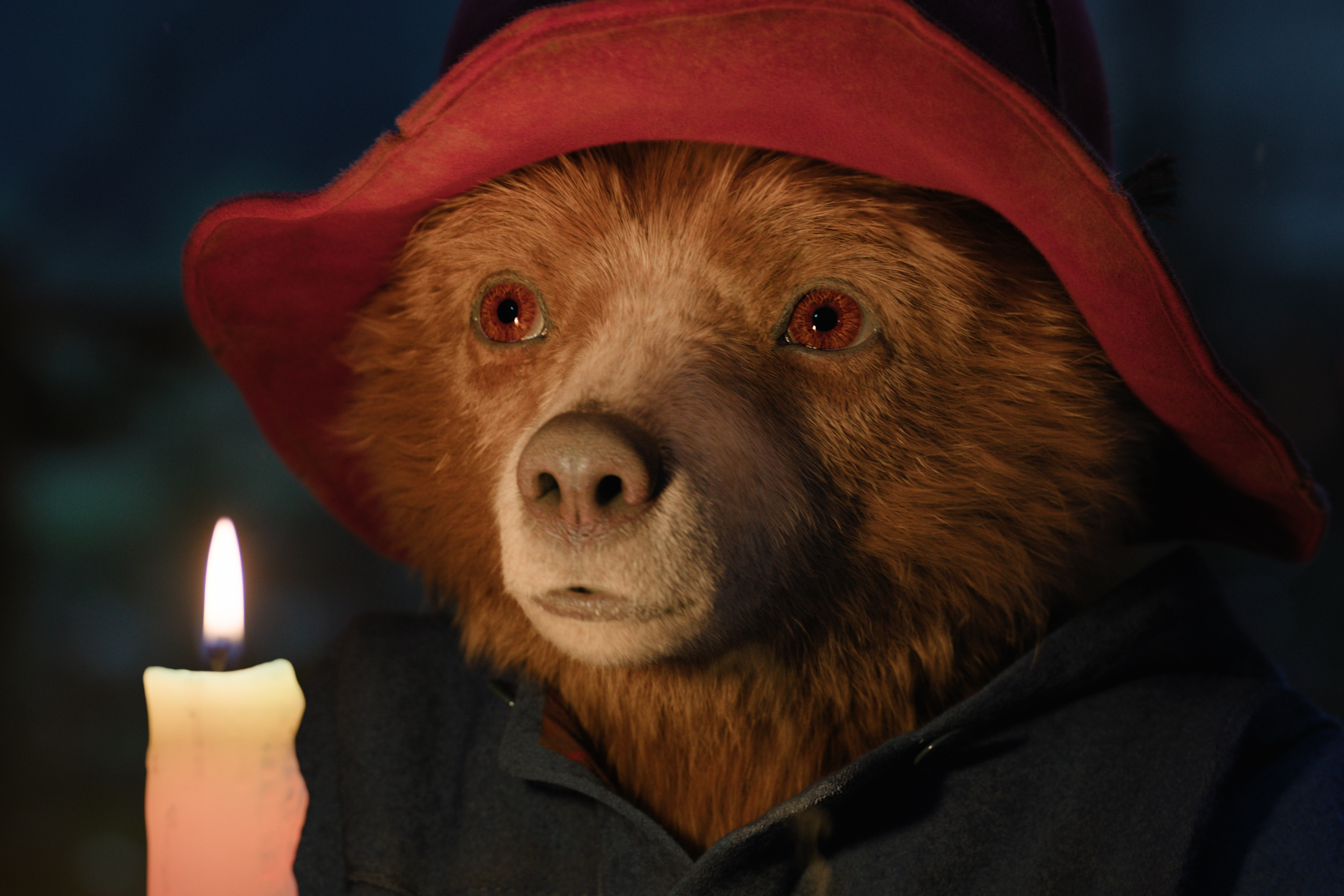 15783 reviews Paddington in Peru OV st 3 jpg sd high 1737463484