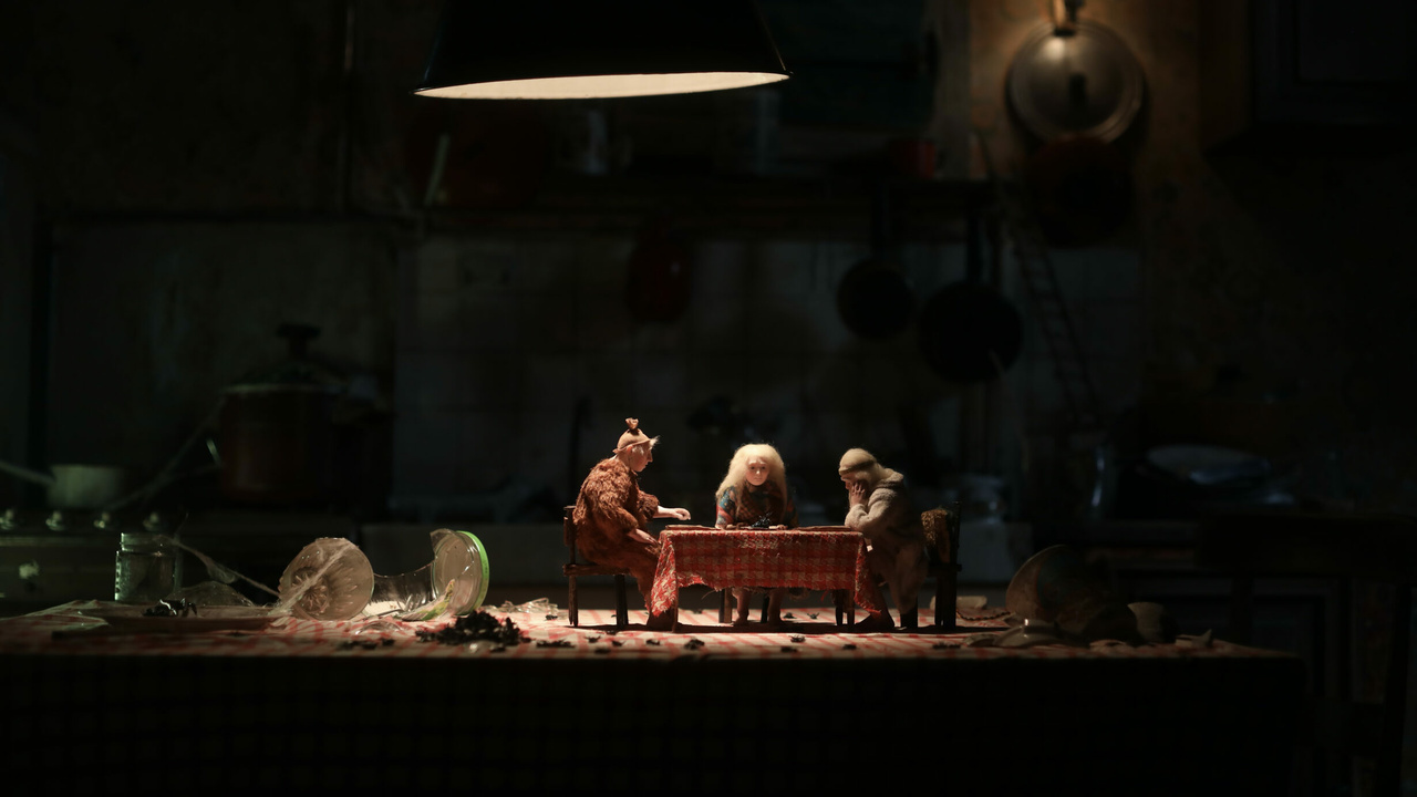 15849 reviews wander to wonder 2 1737730101