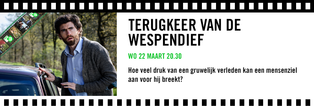 201 reviews Telefilms Wespendief 1499796930