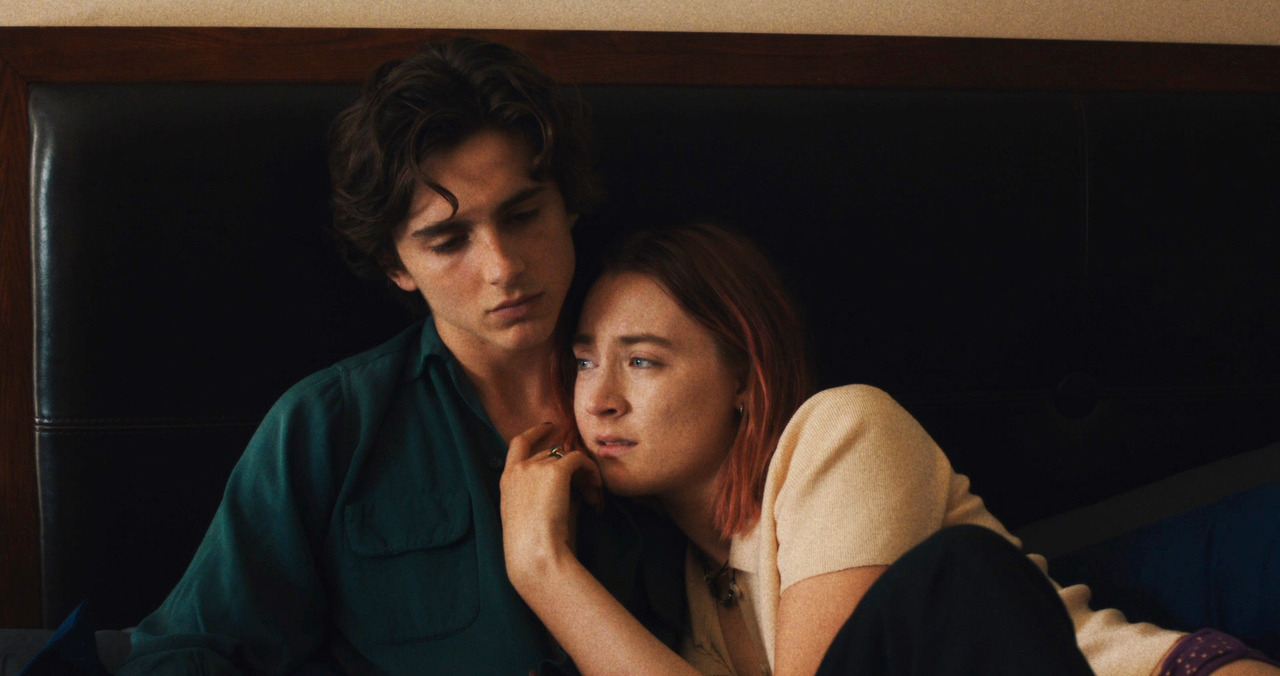 4596 reviews lady bird 3 1683622435