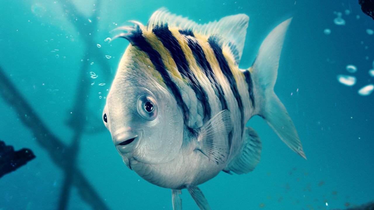 4762 reviews little mermaid 3 1684914615