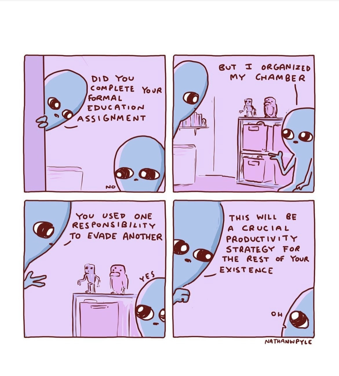 5388 reviews IMG 8469 1691430066