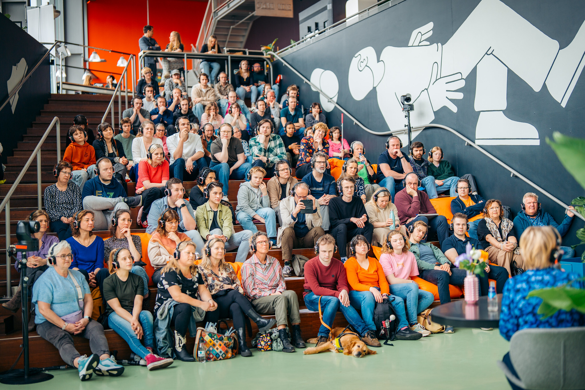 54406085035 d56f65e4aa k