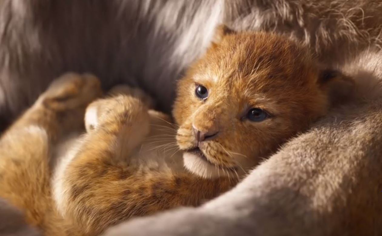 582 reviews Lion King 1 1542971299