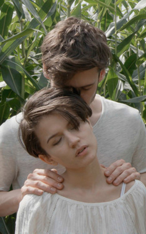 611 reviews Corn vertical highlight 1548234369