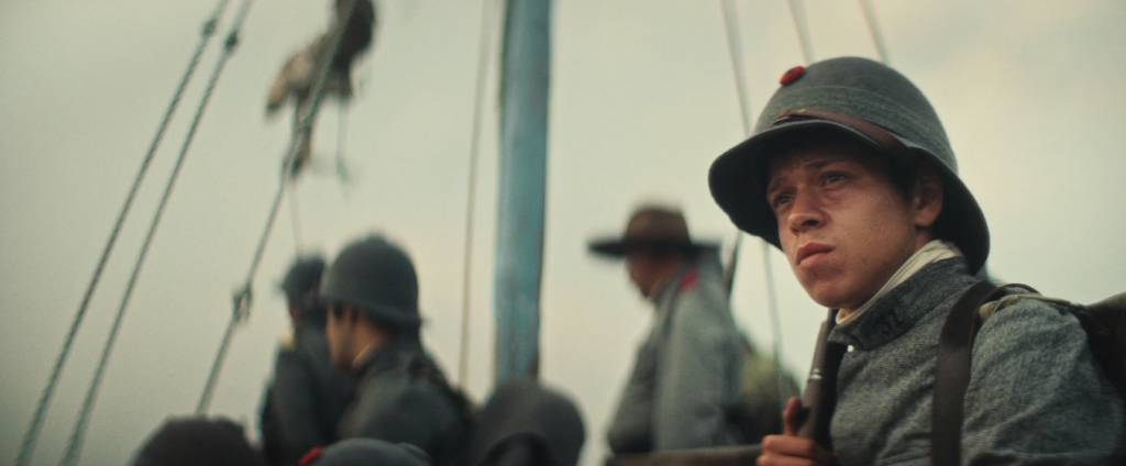 793 reviews mosquito 1579689494