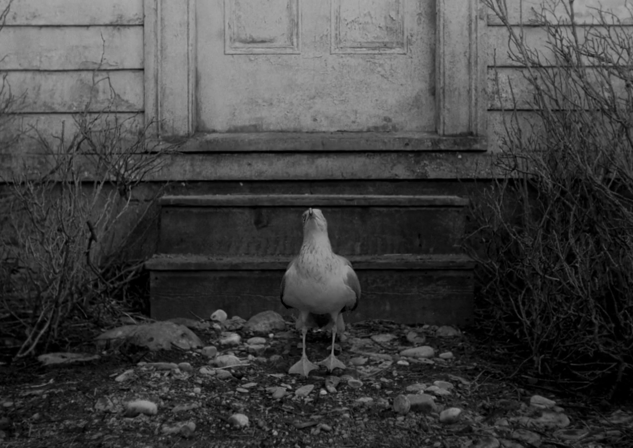 814 reviews the lighthousekopie 1582792826