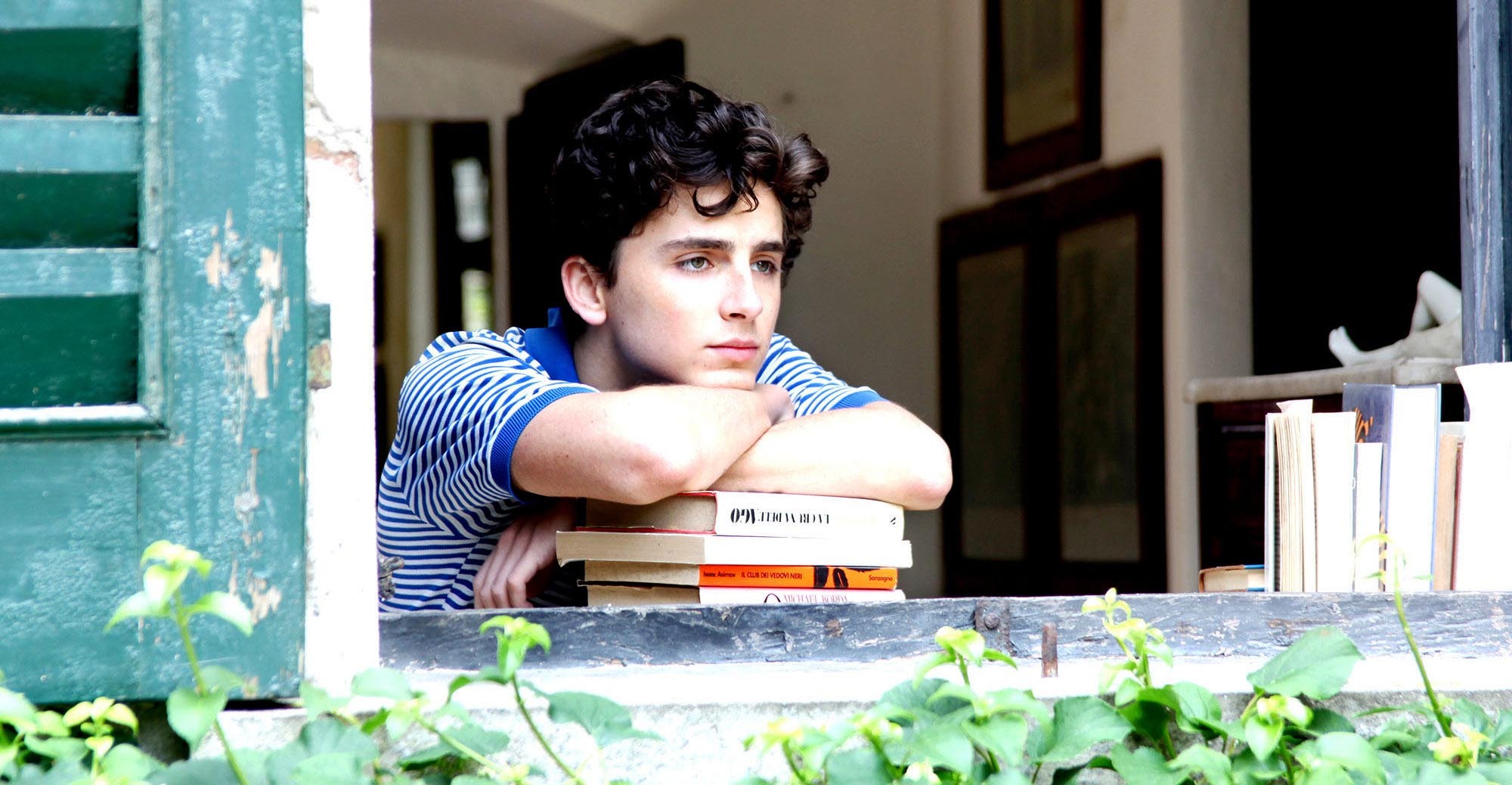 839 reviews call me by your name 2 1586438335