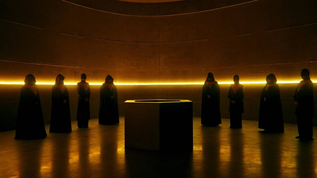 8721 reviews Venus 1707128299