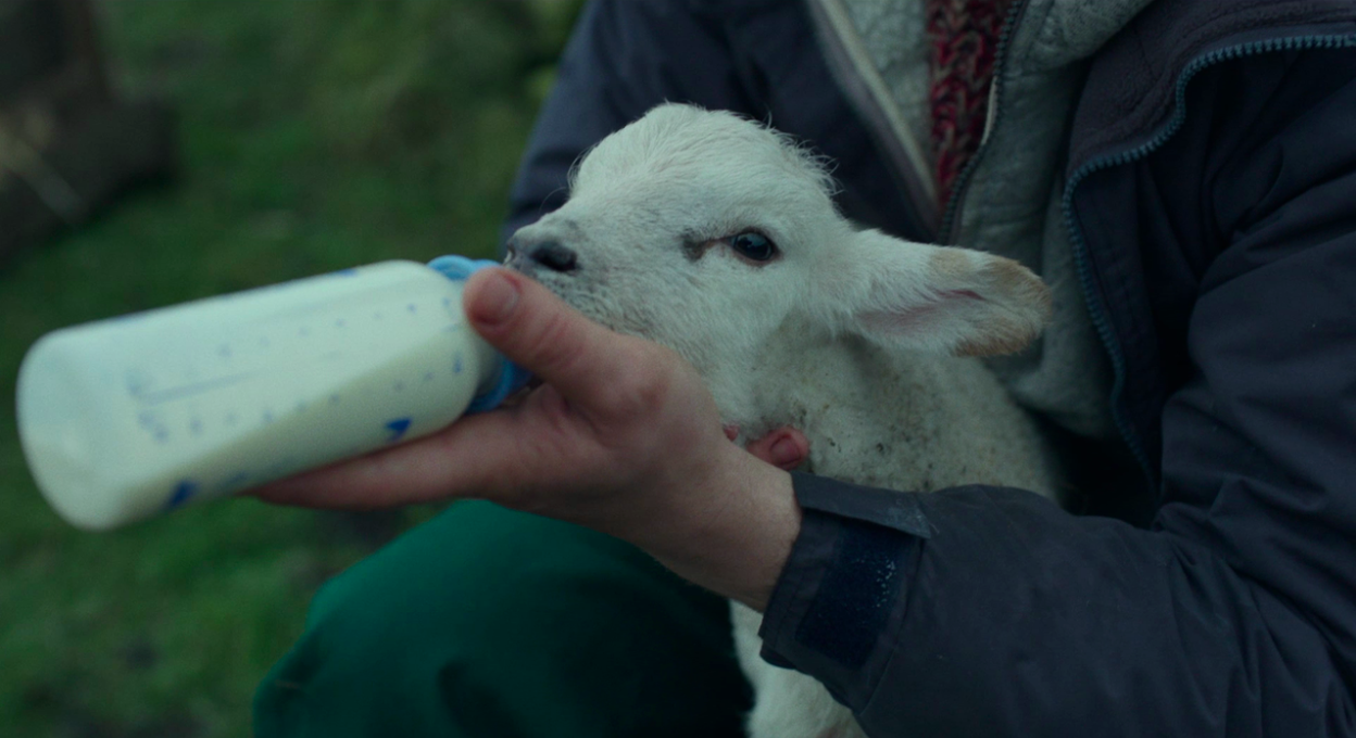 904 reviews gods own country 12 1596133609