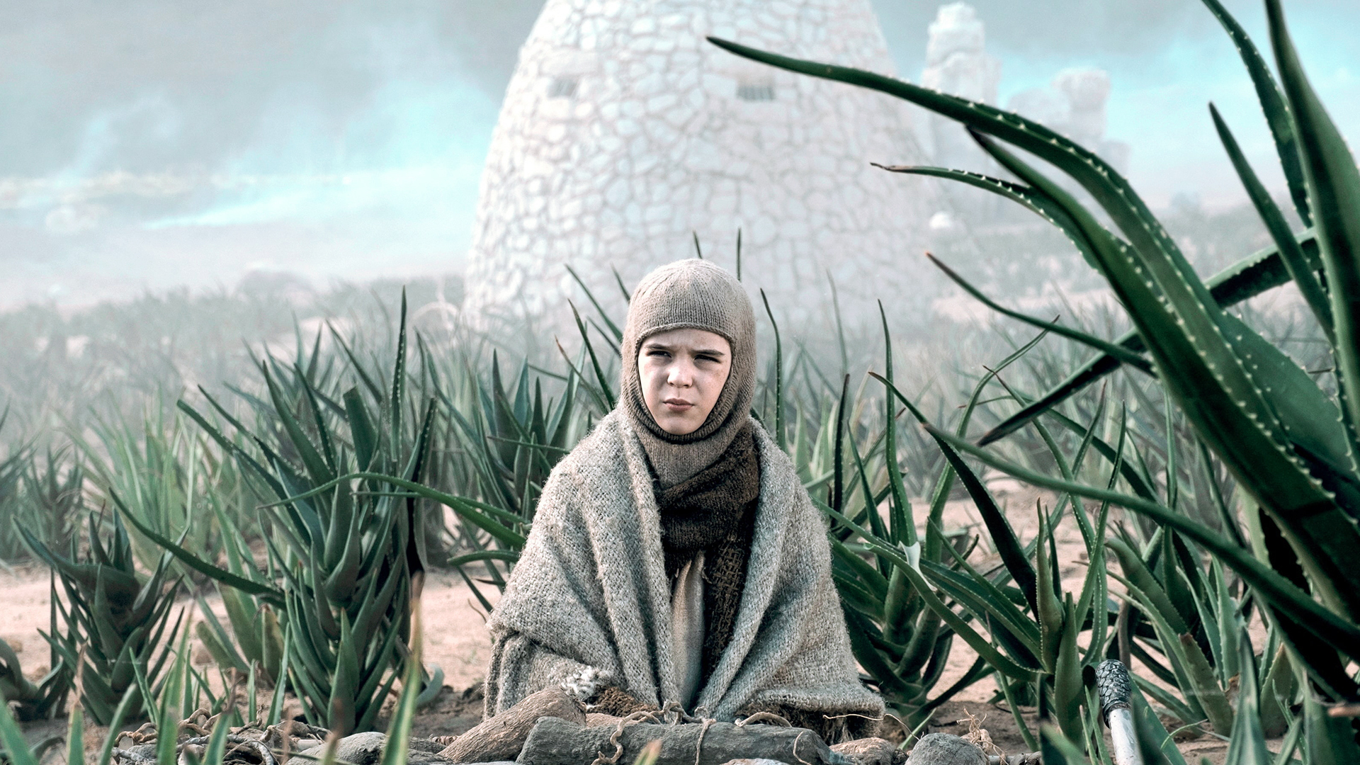 961 reviews 5f6e4958028ac 1603131219