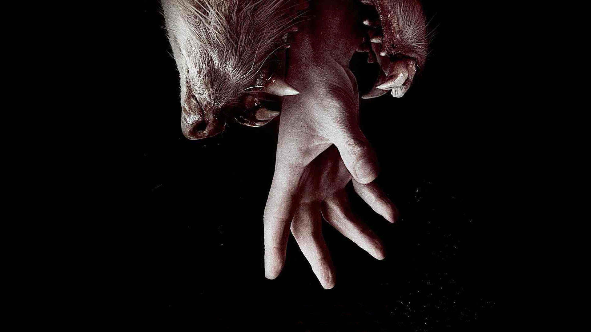 967 reviews Hemlock Grove 1 1603183399