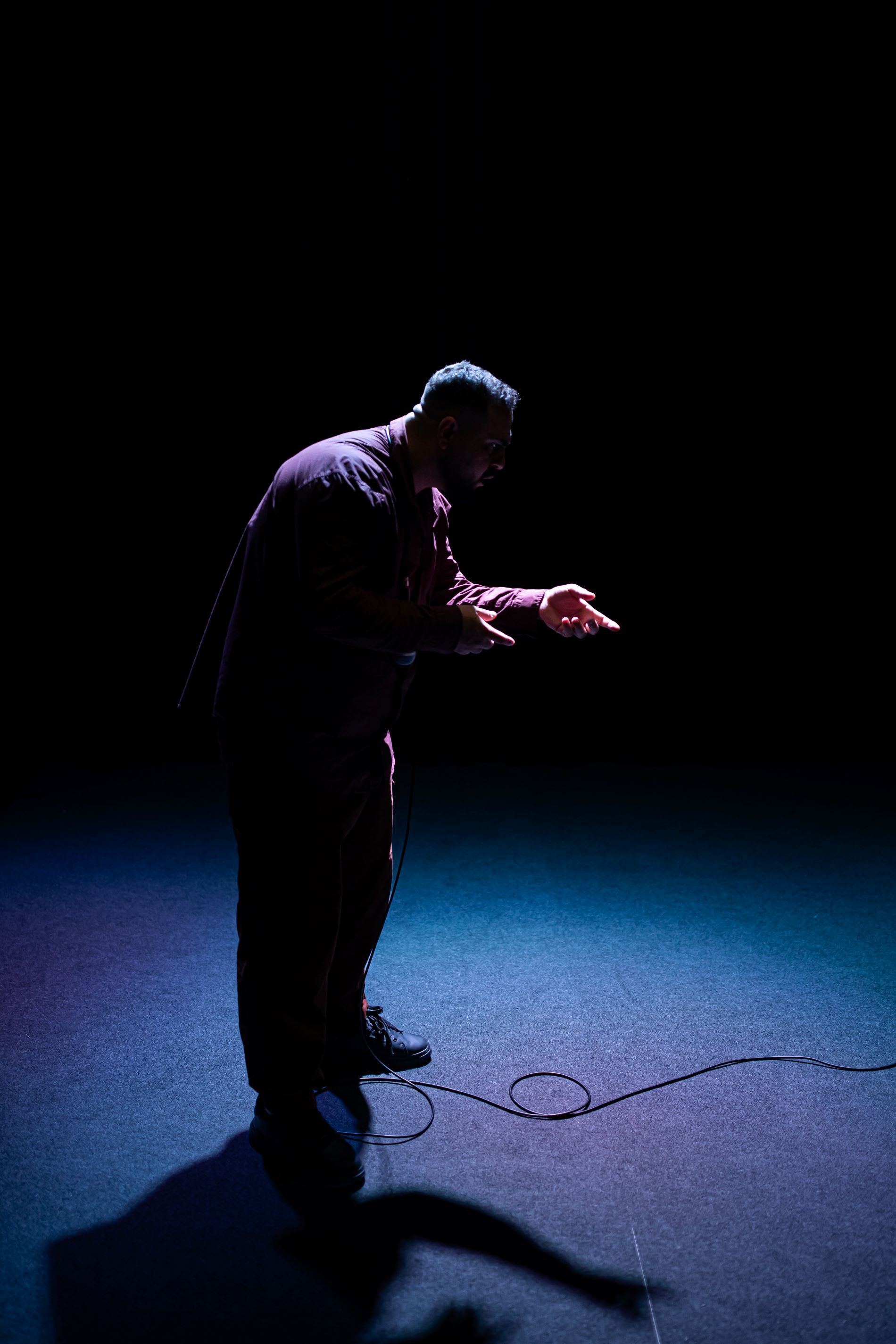 Copy of THE HORSE OF JENIN TROUPE COURAGE Kamerich Budwilowitz 9