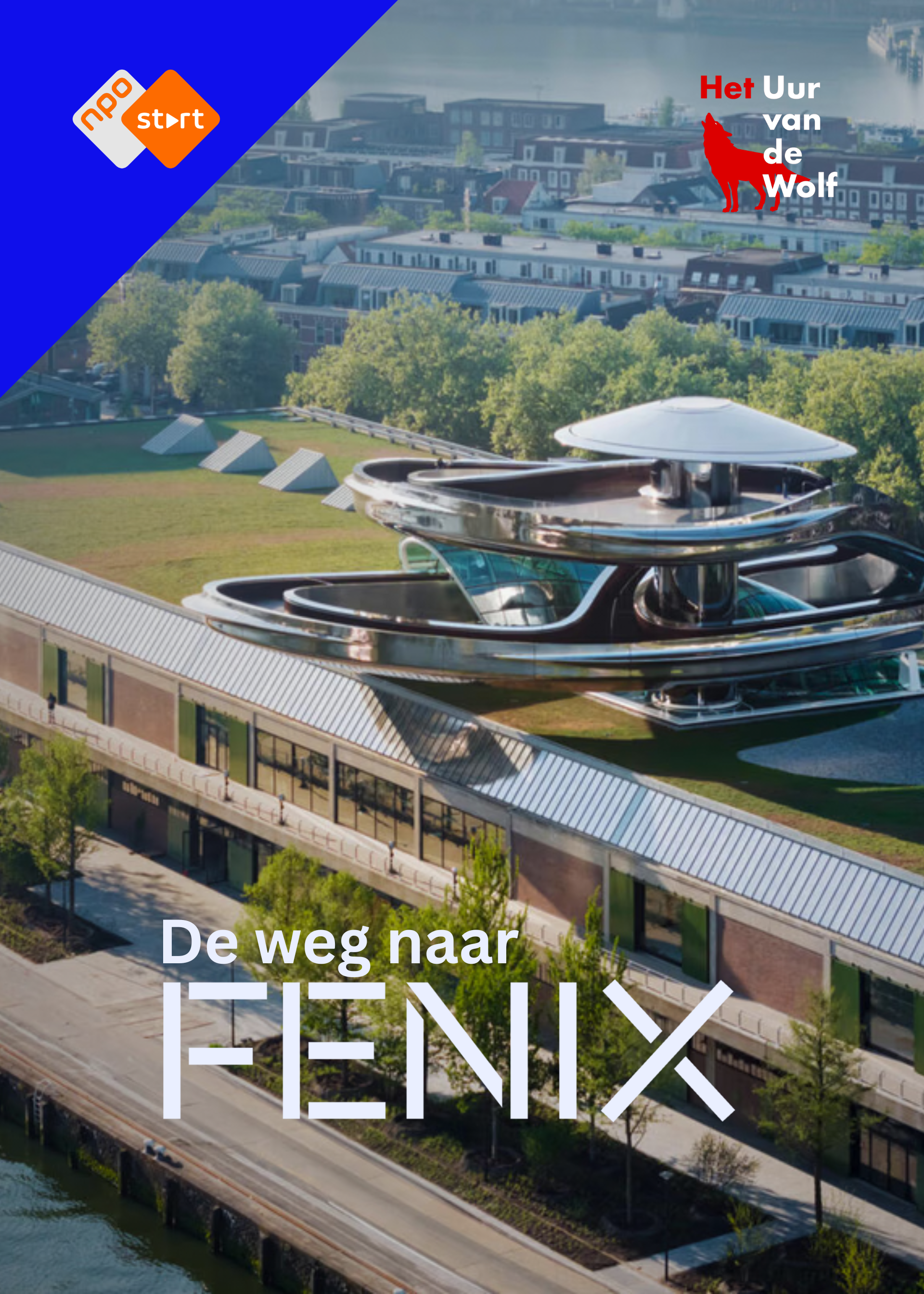 Cover De weg naar Fenix