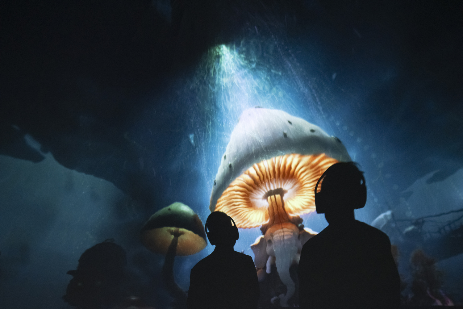 De Fundatie PT Oktober 2024 9841 Low Res