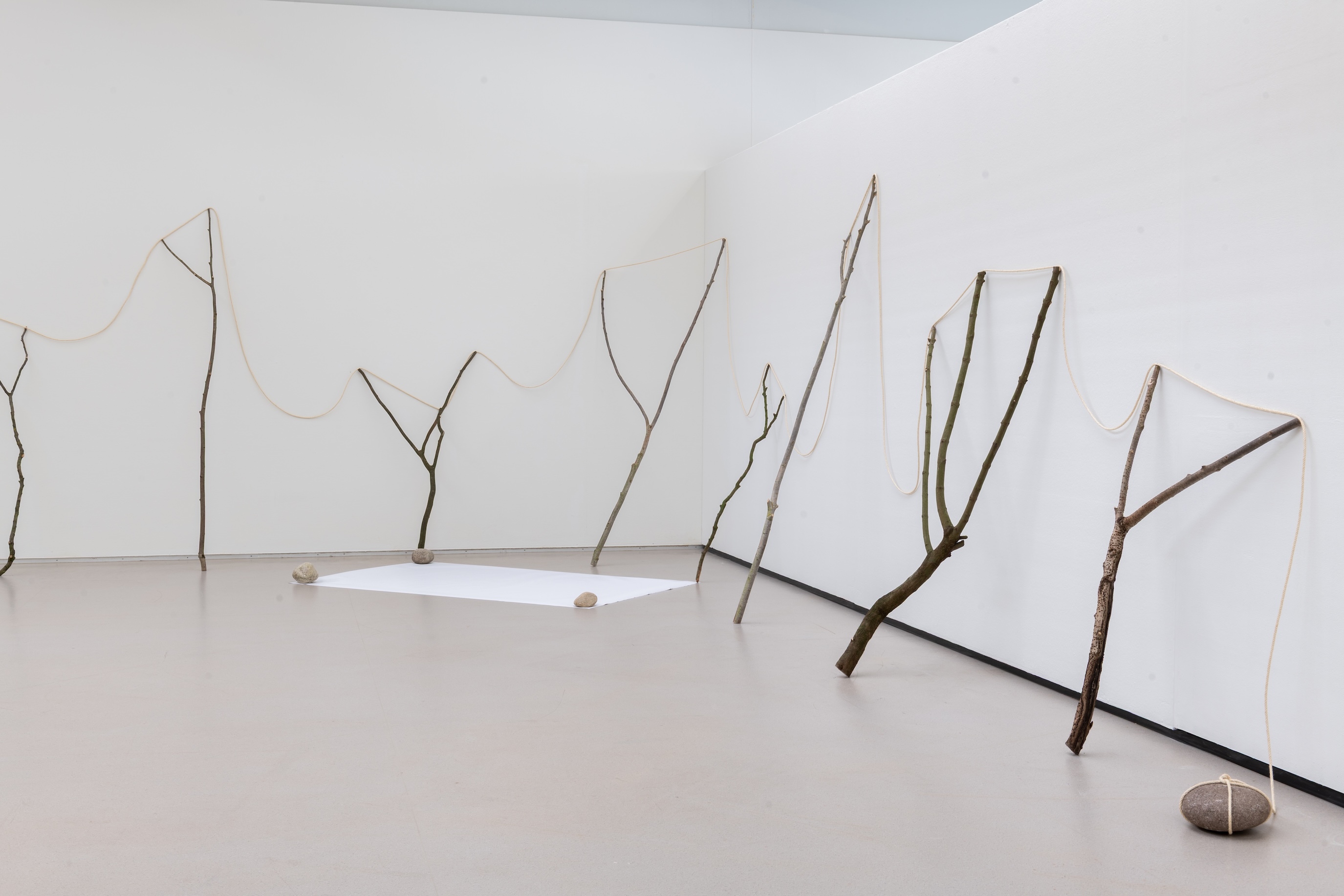 Kunstwerk van Kishio Suga. Boomtakken staan ongeveer 1 meter uit elkaar en zijn verbonden door een touw.