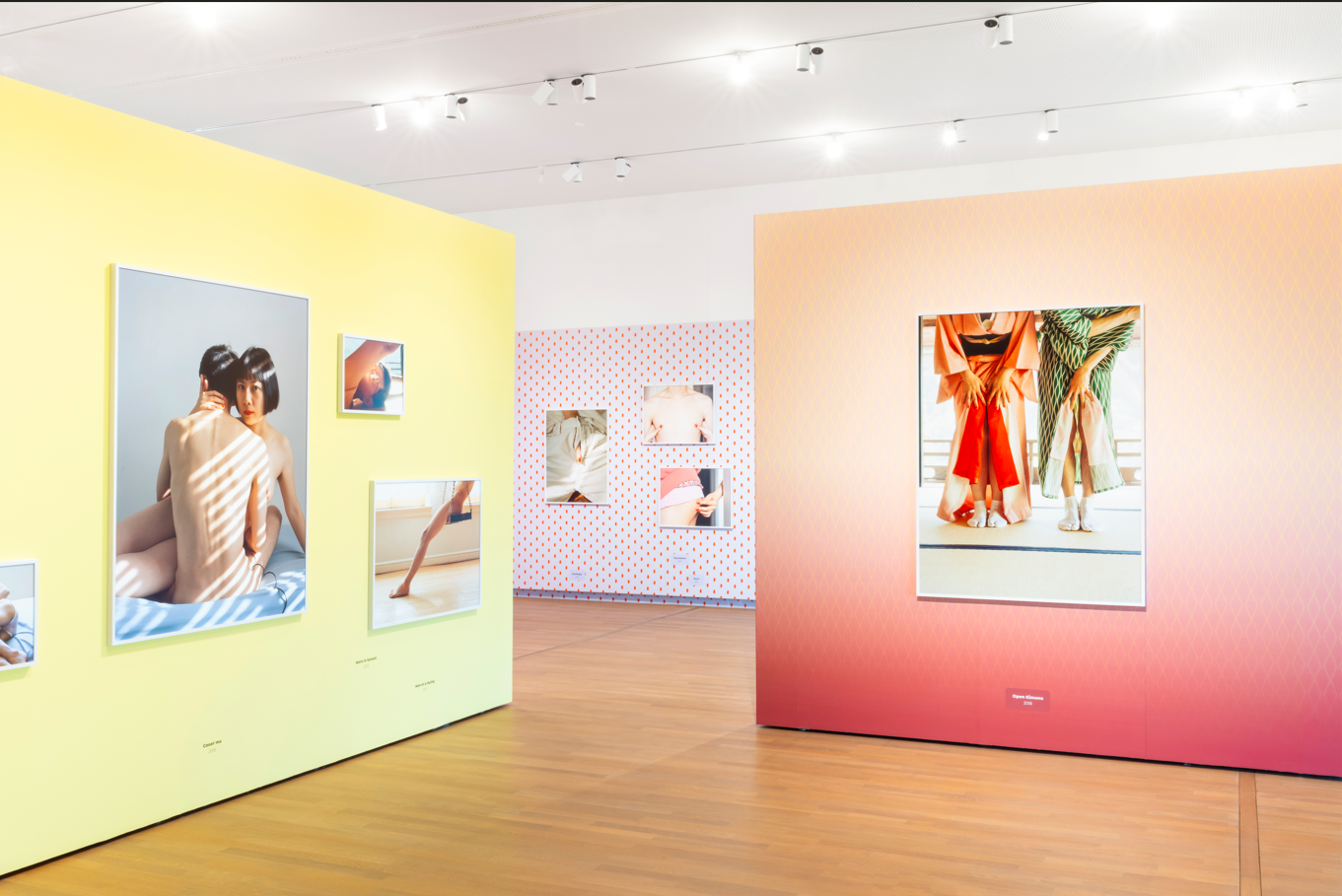 Schermafbeelding 2025 02 06 141556