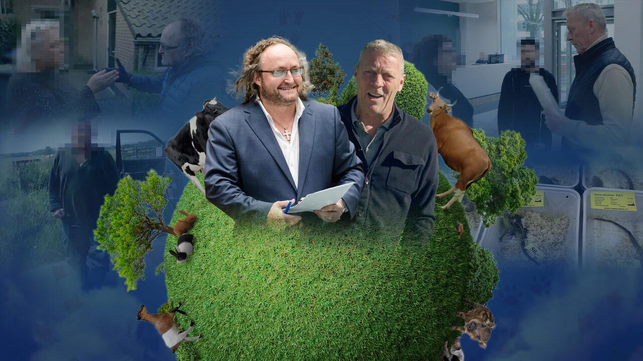 Theo van Gogh: 20 jaar geleden vermoord