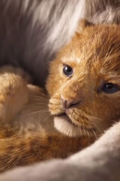 582 reviews Lion King 1 1542971299