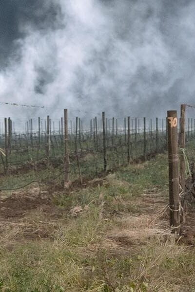 61 reviews fear the walking dead episode 207 nick dillane madison dickens post 1600x600 1497458914