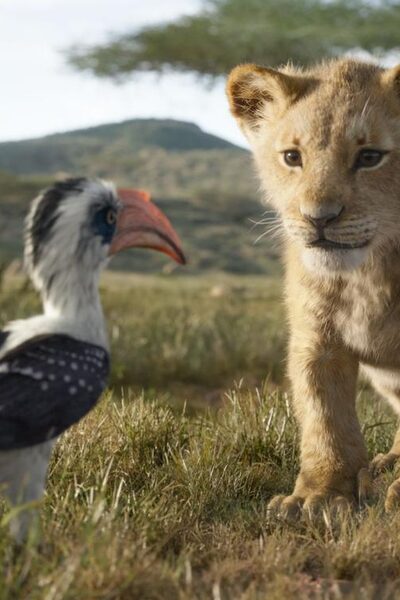 704 reviews The Lion King NL st 6 jpg sd low 2019 Disney Enterprises Inc All Rights Reserved 1563364217