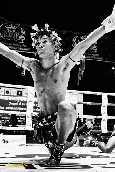 Cover martialarts