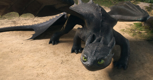 17829 reviews httyd gallery8 68141c6f81f97 1 1749208261