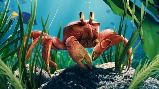 4762 reviews little mermaid 2 1684914828