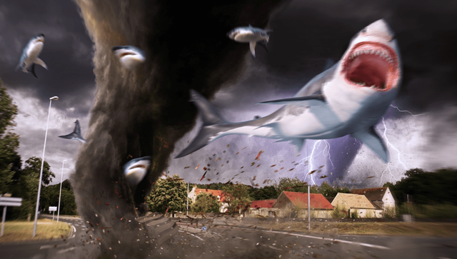 5355 reviews sharknado 1717408875