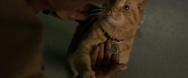 634 reviews Captain Marvel st 17 jpg sd low Marvel Studios 2019 1551886140