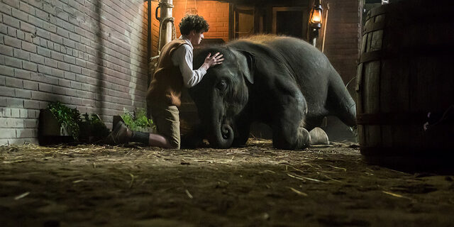 672 reviews zoo 1556788602