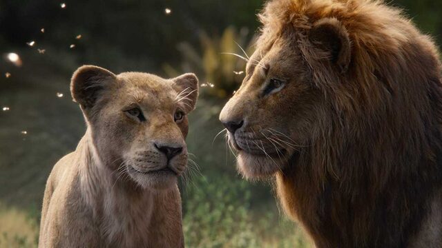 704 reviews the lion king 3 1563366270