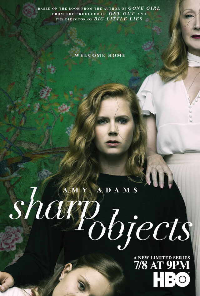 746 reviews Sharp Objects 1545505271