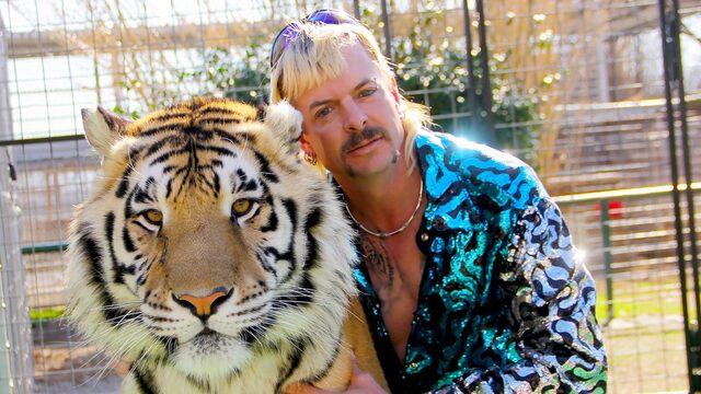 883 reviews tiger king 1592989258