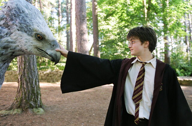 890 reviews prisoner of azkaban 2 1594196012