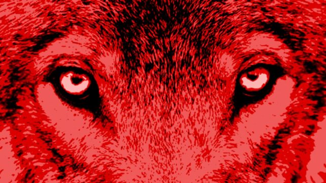 Het Uur van de Wolf